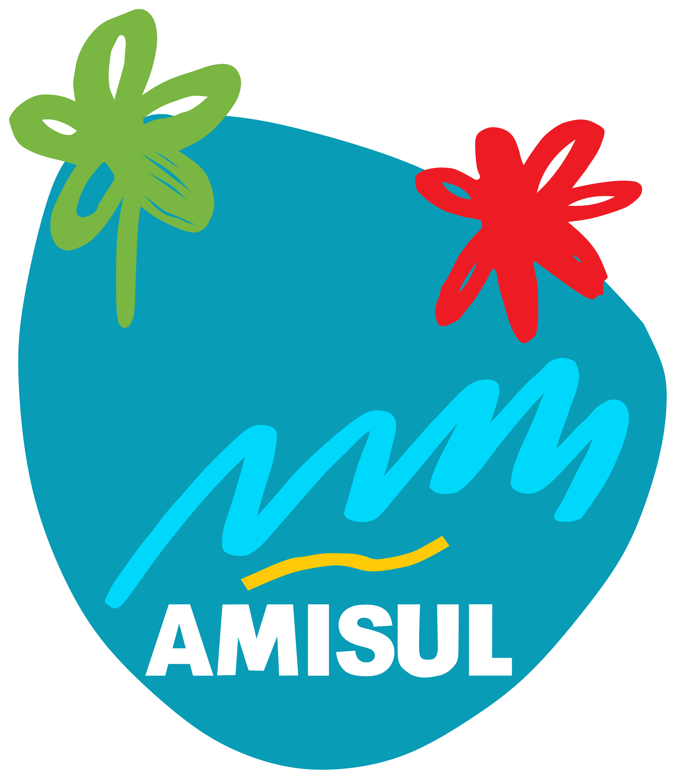 Logo AMISUL